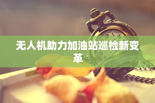 无人机助力加油站巡检新变革