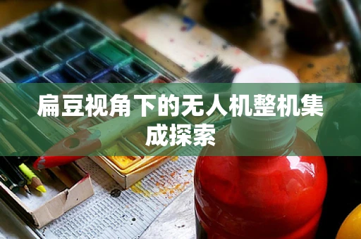 扁豆视角下的无人机整机集成探索