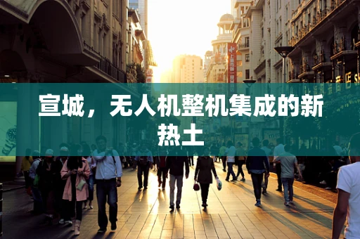 宣城，无人机整机集成的新热土