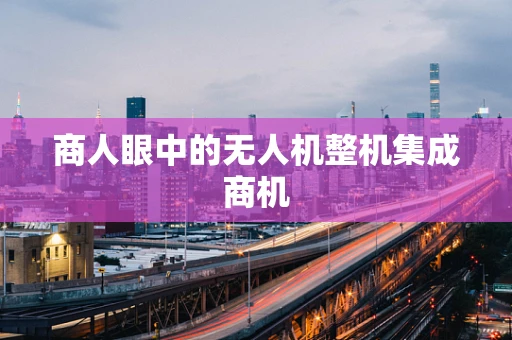 商人眼中的无人机整机集成商机