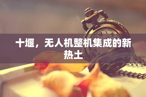 十堰，无人机整机集成的新热土