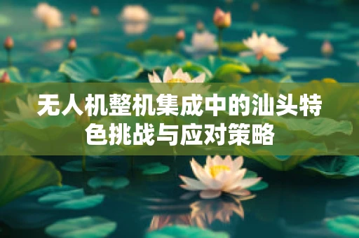 无人机整机集成中的汕头特色挑战与应对策略