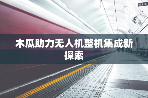 木瓜助力无人机整机集成新探索