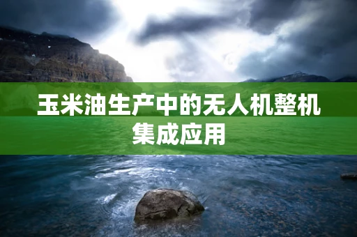 玉米油生产中的无人机整机集成应用
