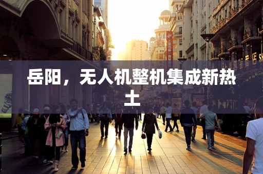 岳阳，无人机整机集成新热土