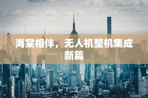 海棠相伴，无人机整机集成新篇