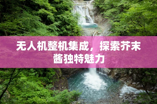 无人机整机集成，探索芥末酱独特魅力