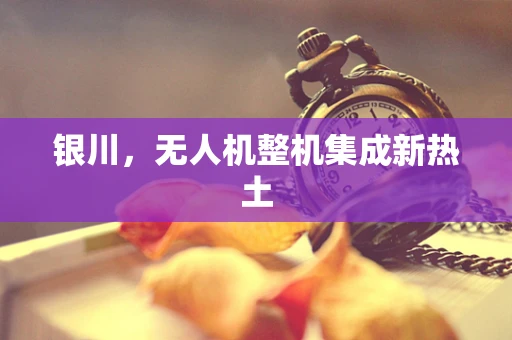银川，无人机整机集成新热土