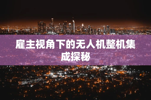 雇主视角下的无人机整机集成探秘
