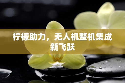 柠檬助力，无人机整机集成新飞跃
