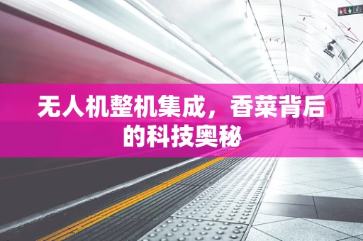 无人机整机集成，香菜背后的科技奥秘