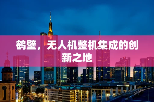 鹤壁，无人机整机集成的创新之地