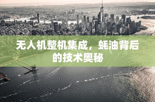 无人机整机集成，蚝油背后的技术奥秘