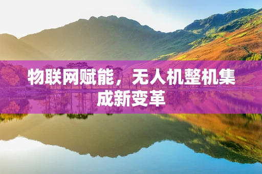 物联网赋能，无人机整机集成新变革