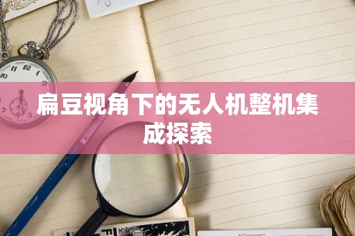 扁豆视角下的无人机整机集成探索