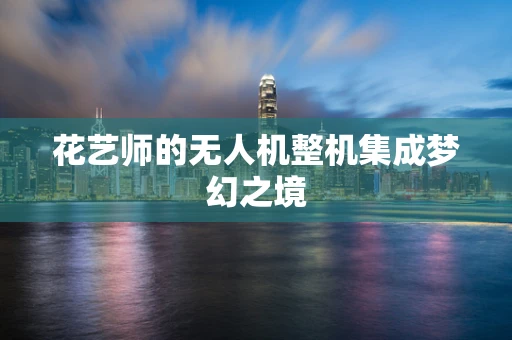 花艺师的无人机整机集成梦幻之境