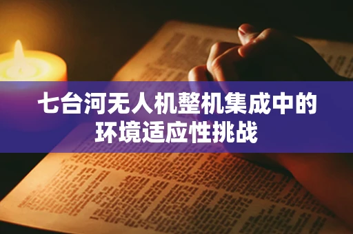 七台河无人机整机集成中的环境适应性挑战