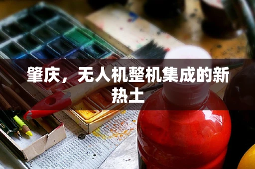 肇庆，无人机整机集成的新热土