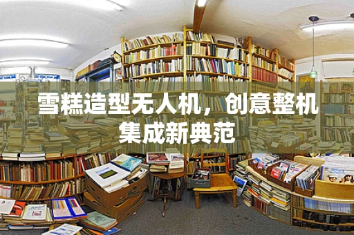 雪糕造型无人机，创意整机集成新典范