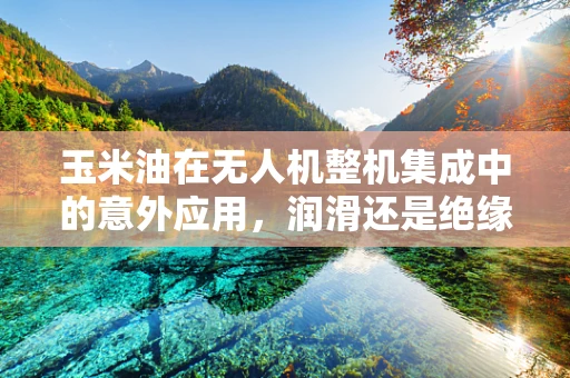 玉米油在无人机整机集成中的意外应用，润滑还是绝缘？