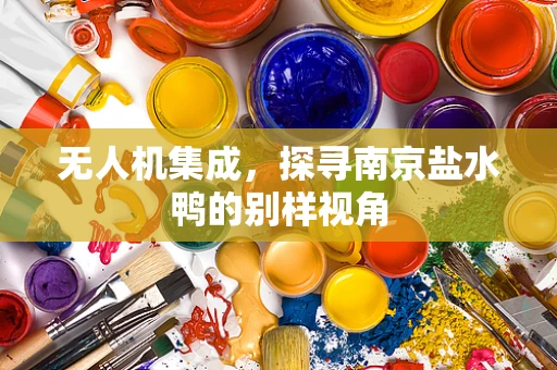 无人机集成，探寻南京盐水鸭的别样视角