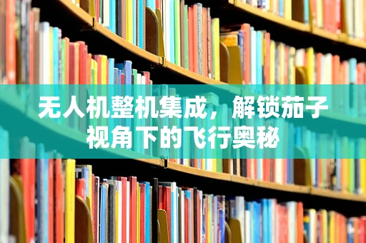 无人机整机集成，解锁茄子视角下的飞行奥秘