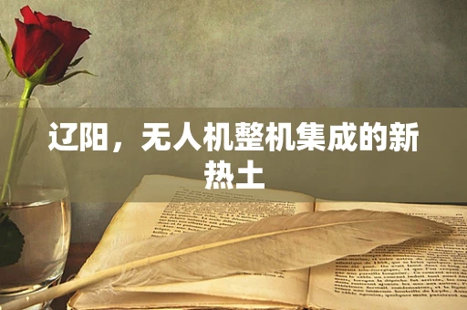 辽阳，无人机整机集成的新热土