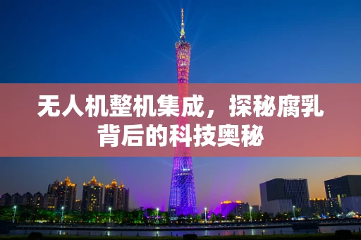 无人机整机集成，探秘腐乳背后的科技奥秘