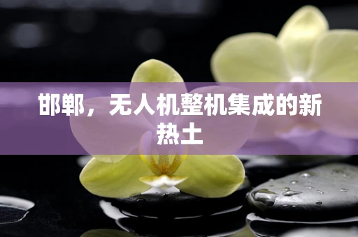 邯郸，无人机整机集成的新热土