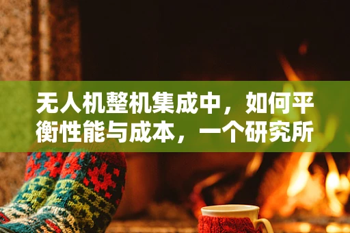 无人机整机集成中，如何平衡性能与成本，一个研究所的挑战？