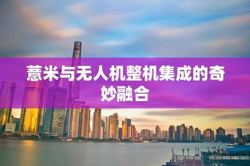 薏米与无人机整机集成的奇妙融合