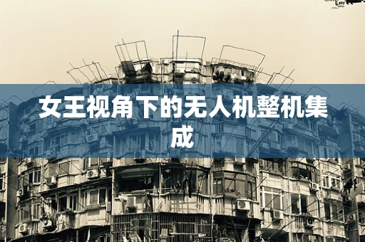女王视角下的无人机整机集成