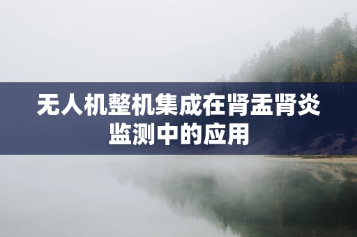 无人机整机集成在肾盂肾炎监测中的应用