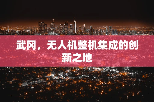 武冈，无人机整机集成的创新之地
