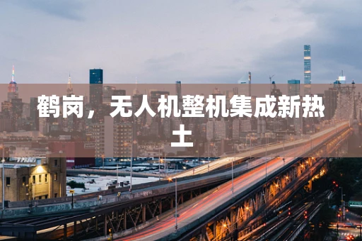鹤岗，无人机整机集成新热土