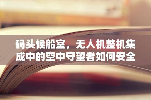 码头候船室，无人机整机集成中的空中守望者如何安全共存？