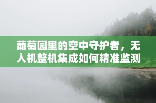 葡萄园里的空中守护者，无人机整机集成如何精准监测葡萄生长？