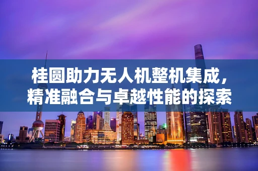 桂圆助力无人机整机集成，精准融合与卓越性能的探索
