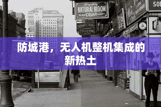 防城港，无人机整机集成的新热土