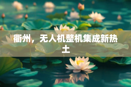 衢州，无人机整机集成新热土