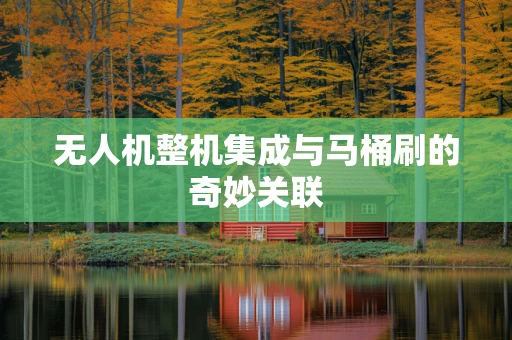 无人机整机集成与马桶刷的奇妙关联