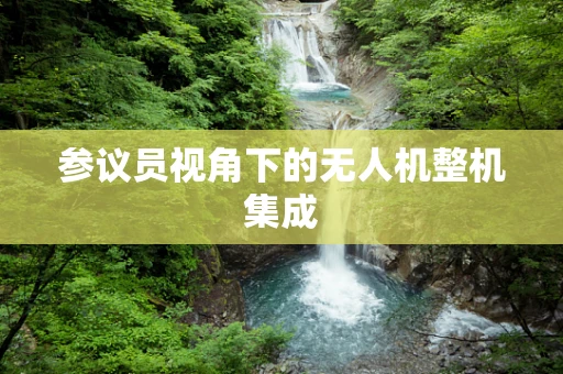 参议员视角下的无人机整机集成