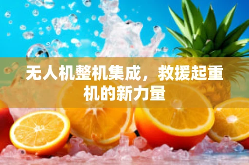 无人机整机集成，救援起重机的新力量