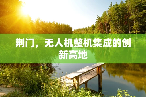 荆门，无人机整机集成的创新高地