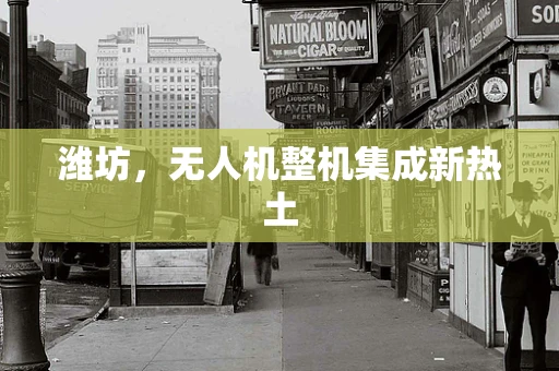 潍坊，无人机整机集成新热土