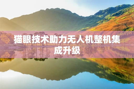 猫眼技术助力无人机整机集成升级