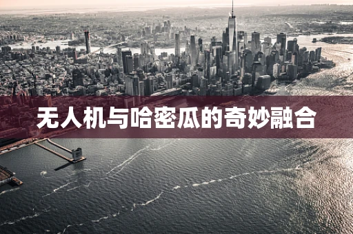 无人机与哈密瓜的奇妙融合