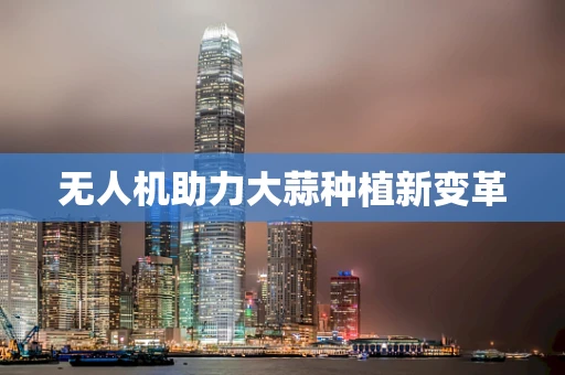 无人机助力大蒜种植新变革