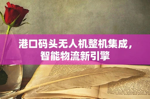 港口码头无人机整机集成，智能物流新引擎