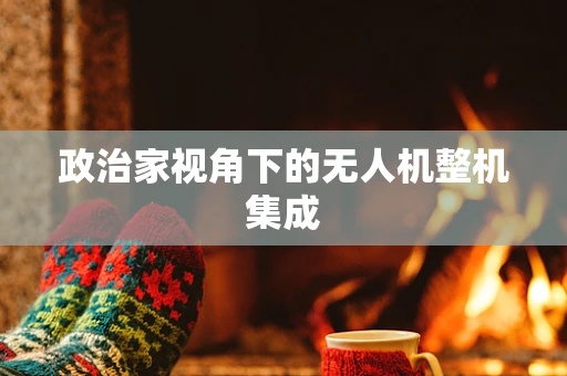 政治家视角下的无人机整机集成